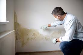 Sylvania, GA Mold Prevention & Removal  Company